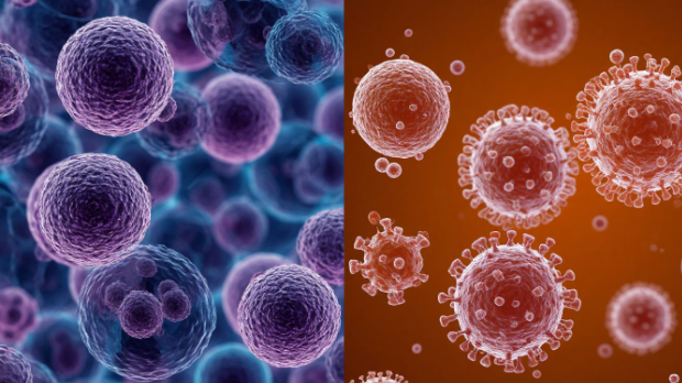 Медицинская